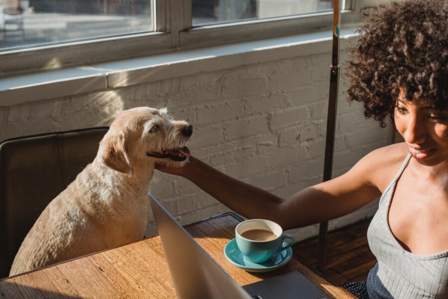 A young black woman with chin-length curly brown hair is sitting at a wooden desk, smiling at a laptop in front of her. She has one arm reaching out to pet the face of a golden, shaggy dog sitting on a chair perpendicular to hers. She also has a turquoise cup of coffee beside her on the table.